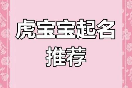 2022年虎宝宝命运解析：它们的未来与个性展望