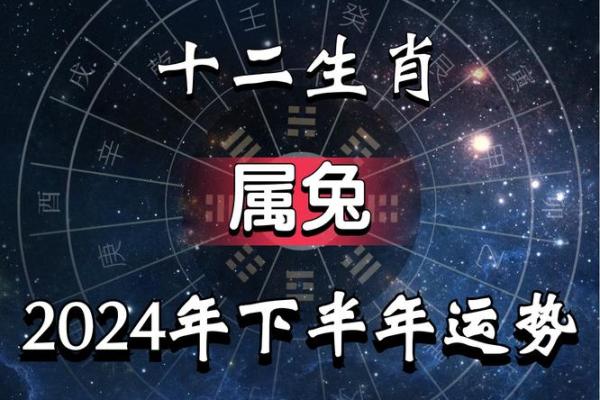 1963年出生的人命运解析：细数生肖兔的精彩人生与成长之路