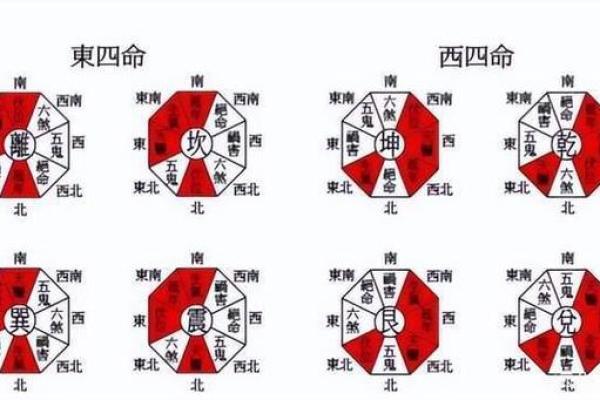 1974年出生的人命卦解析与人生思考