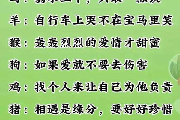 1993年羊年出生的人命运解析：性格、事业与爱情的全面剖析