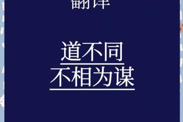 儒家视角下的命：人生的轨迹与选择之道