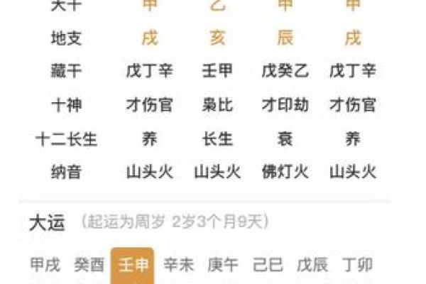 2023年兔年命理解读：解析兔年运势与命格的奥秘