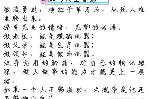 命什么遣什么，以命论道，探索人生的奥秘与智慧