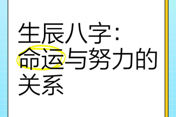 2009年命运解析：如何解读2009年的八字运势与职业发展