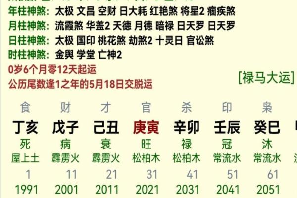 2009年命运解析：如何解读2009年的八字运势与职业发展