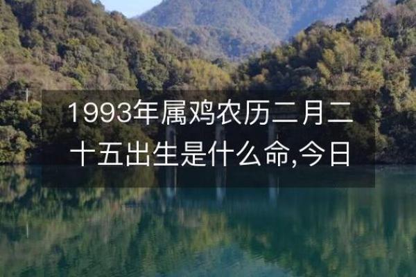 93年出生的人命运与生肖的秘密探索