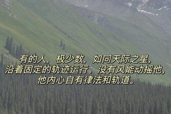 探索90年正月十四出生者的命理之谜与人生轨迹