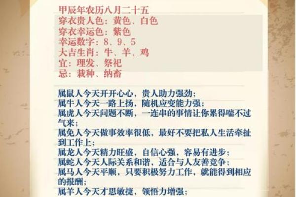 二零二二年的命运解析：如何把握这一年的机遇与挑战