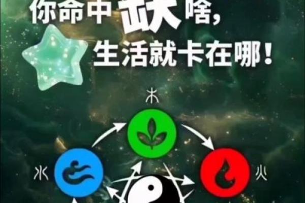 金命男适合哪些生意？探索成功之道与经营智慧