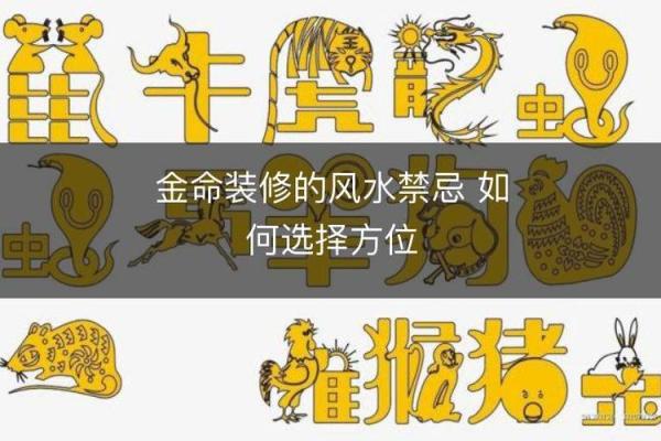 金命过旺职业选择：如何找到最适合的工作方向