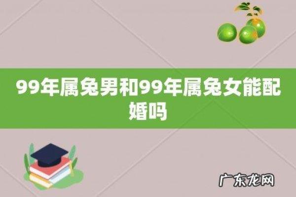 1999年兔年出生的女性命运与性格解析