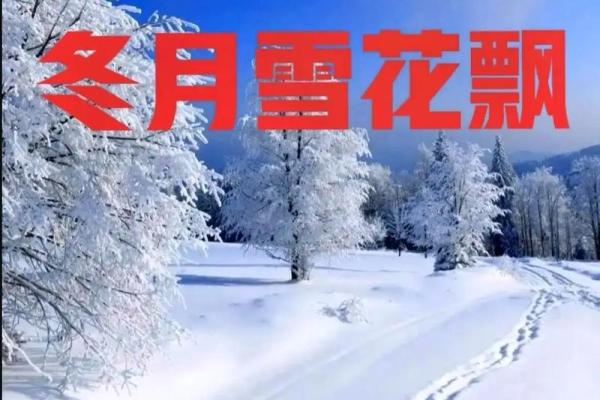 1997年冬月：冰雪中的生命奇迹与感动故事