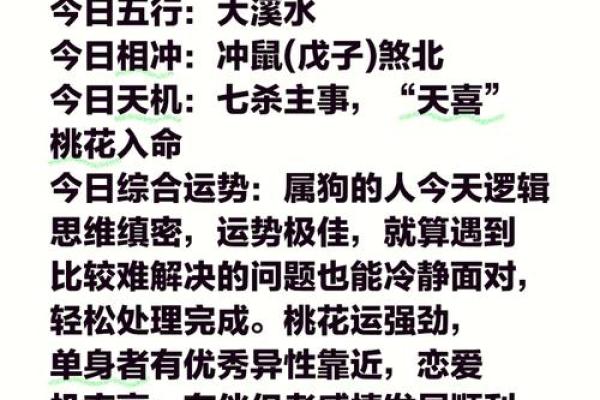 1994属狗男的命运与人生探究：聪慧与努力的结合之路