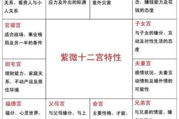 命驾将适：探寻命理与人生的深刻联系