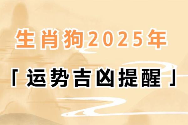 1971年属狗的命运解析：探索生命之路的智慧与挑战