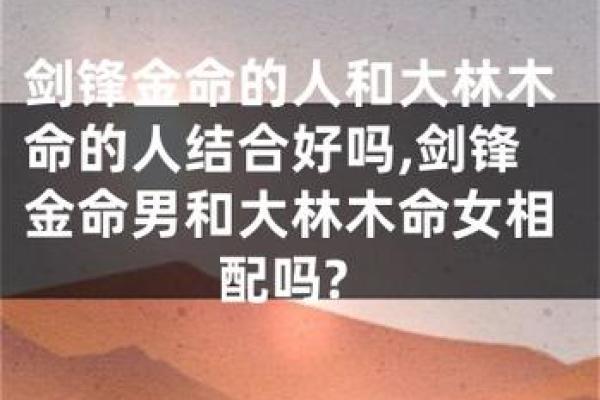 剑锋金命与其他命理的完美结合：探寻最优属性的相生之道