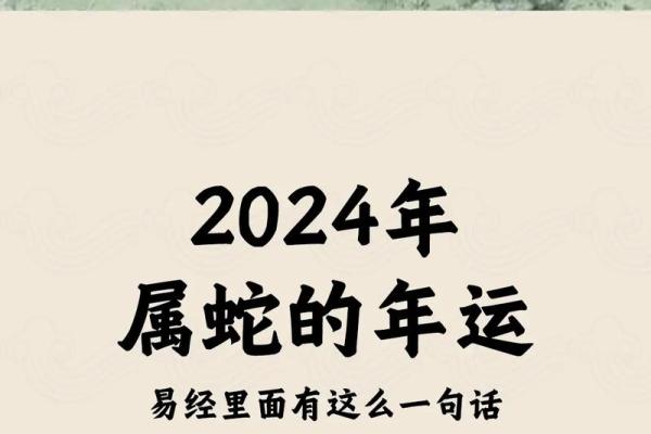 2014年属蛇男孩的命运解析与人生运程指导