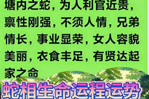 沙中土命与相克关系解析：如何使运势更加顺畅？