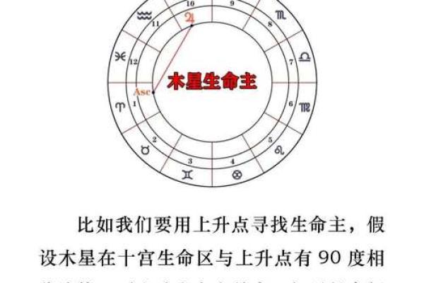 命理揭秘：星与童子的命格特征与运势分析