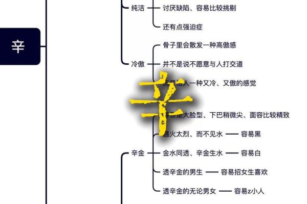 解析辛金命：适合的职业与发展方向