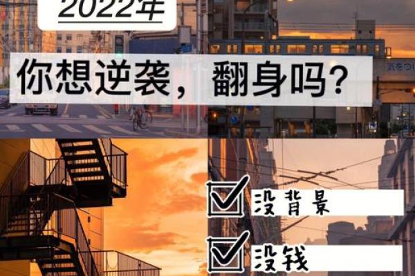 2031年猪命解读：如何迎接财富和机遇的到来