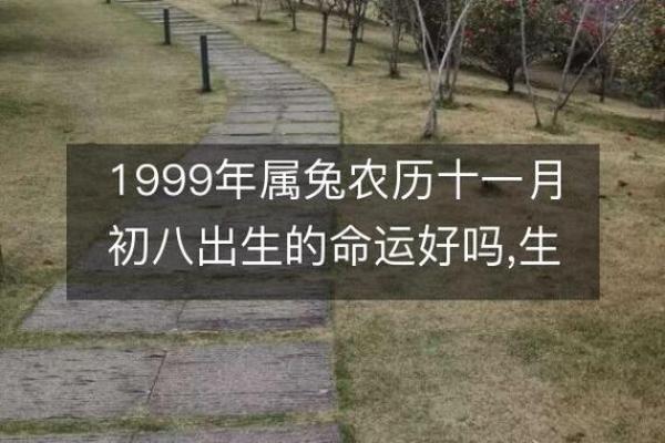 1987年兔年命理解析：缺什么，如何改善命运？