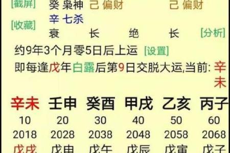 农历1969年出生的朋友：属于你的命运解析与人生秘籍