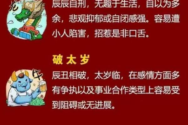 属龙命人的性格特征与人生运势解析