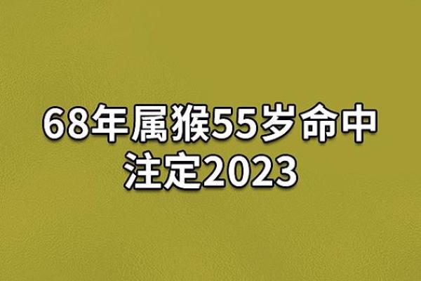 属猴人：2003年出生的命理解析与生活智慧