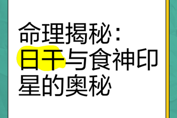 命理学揭秘：探索命运与人生的奥秘，助你把握未来之道