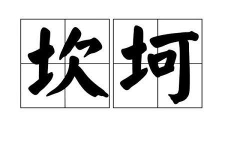 伤官多的男命：智慧与挑战并存的人生之路