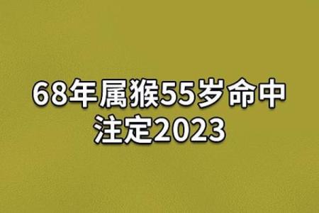 属猴人：2003年出生的命理解析与生活智慧