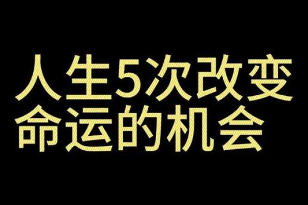 1962年出生的人命运分析：如何把握人生机会与挑战