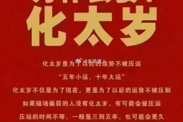 乙木命的神秘世界：探索八字中的生命密码与运势变化