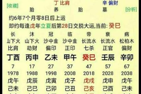 火命伤官格的深度解析与命理魅力