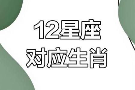 十九点出生的人属于什么命？详解生肖与五行的神秘关联