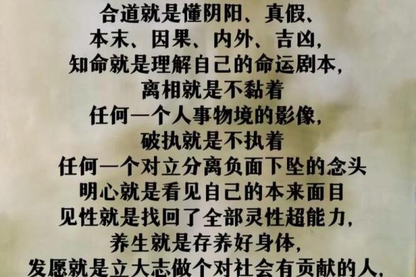 命运与意义：如何解读生命的符号与内涵