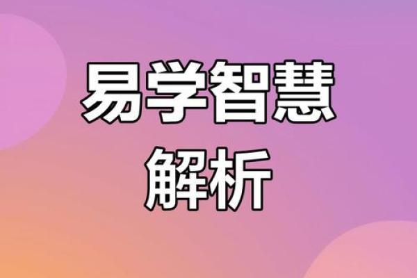 2023年44岁属什么命：探索命理与生活的奥秘