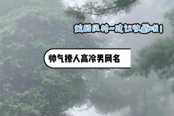 大海水命的网名选择，展现独特个性与魅力