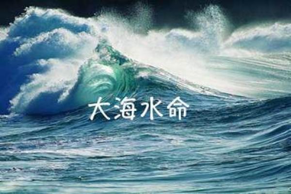 海洋与森林的交汇：如何为大海水命与大林木命命名一家理想的店铺