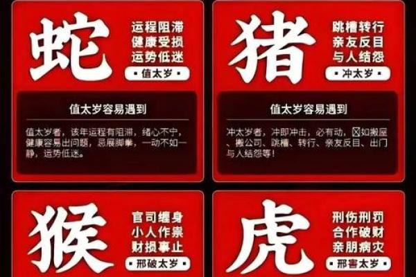 2026年蛇年运势分析：属蛇人的命运与变迁