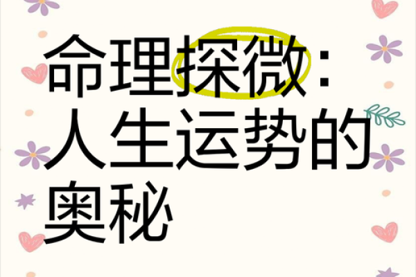 1955年属什么命：命理与人生的奇妙关联