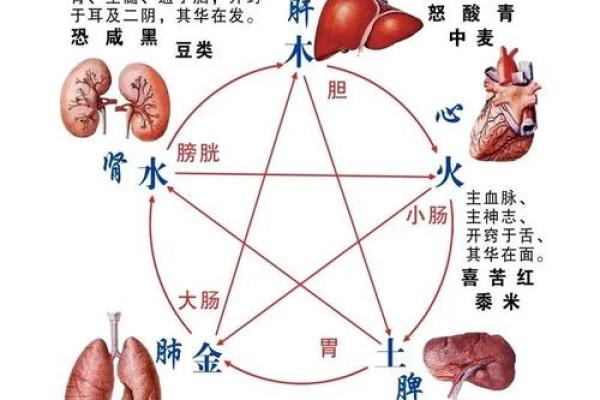 命格解析：我们如何看待命运的好坏与人生的选择