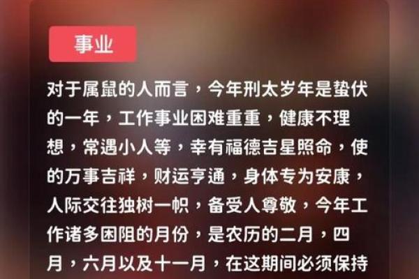 2020年属鼠人的命运与青云之路：财富、事业与爱情的探索