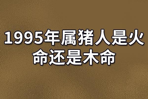 揭秘2007年猪年命运：如何掌握属猪人的命理玄机