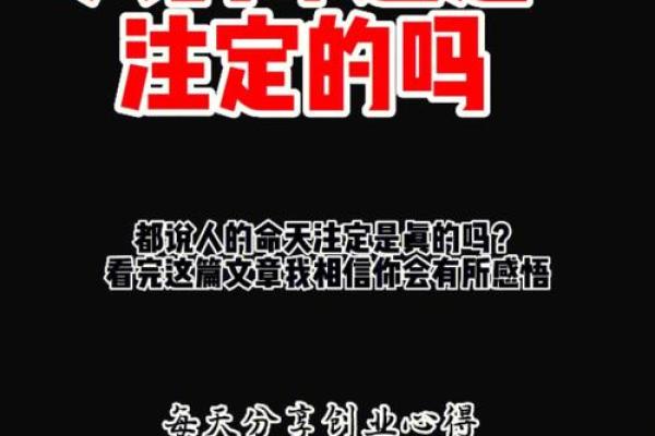 命运的诠释：理解生命中的“命”和“运”