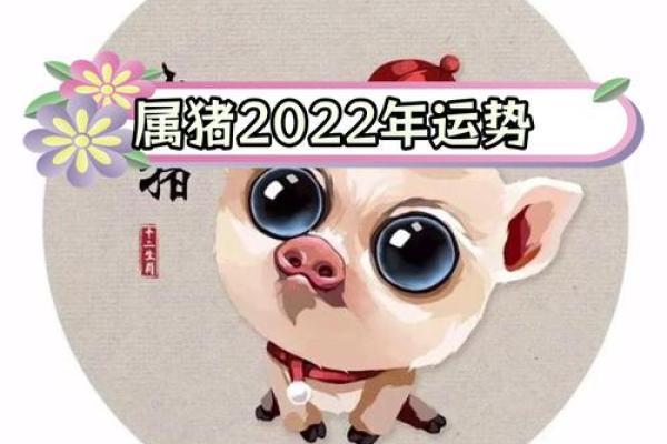 2019年属猪的命运分析与生活建议，助你在新的一年中焕发新生！