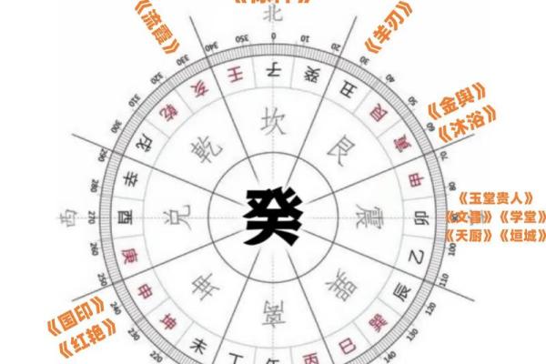 癸丑年的人命运解析：揭开八字中的命理密码