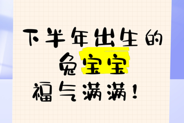 兔年出生的宝宝命运解析：可爱的兔子带来了怎样的未来？