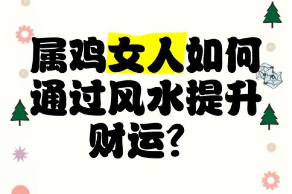 属鸡水命的颜色搭配，如何打造完美风水？